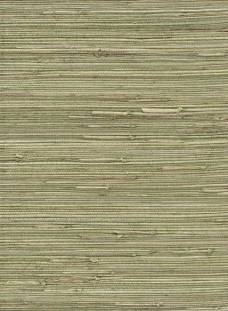 brown wallpaper field grass Vista 6 Rasch Textil 215501 