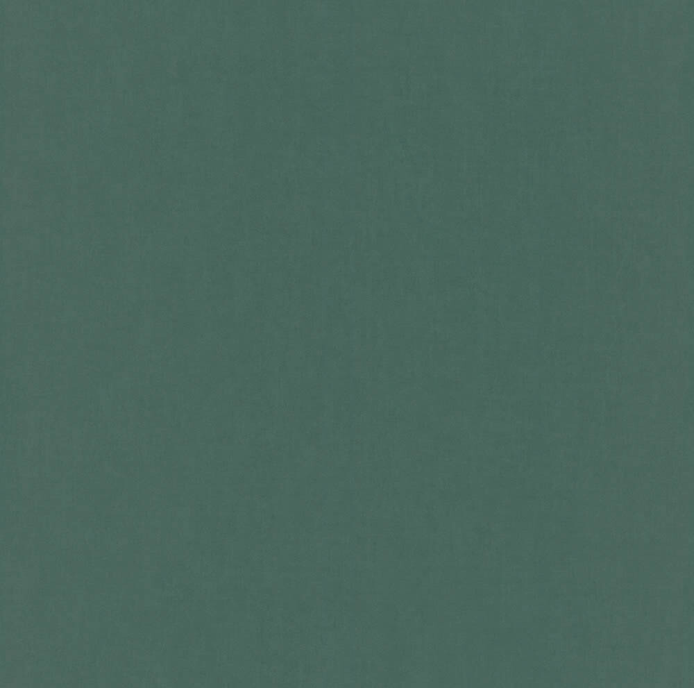Einfarbiger Hintergrund grün Vliestapete Sophia Rasch 710458