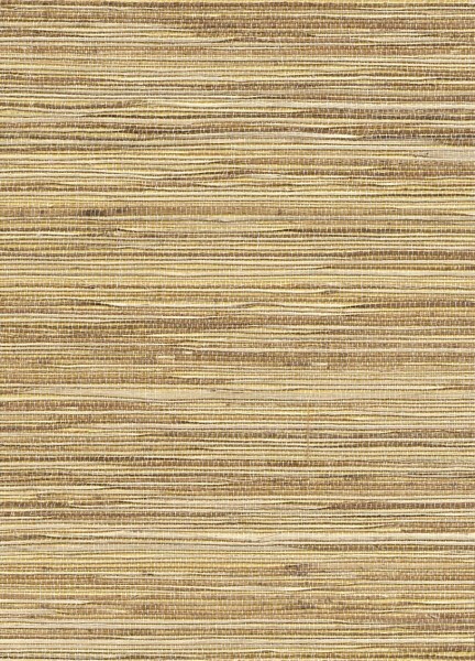 brown wallpaper field grass Vista 6 Rasch Textil 215501 