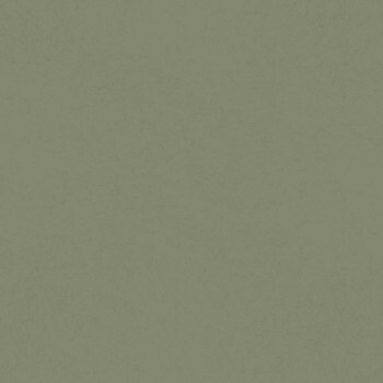 non-woven wallpaper unisex green 077007