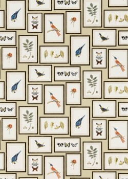 Vögel, Schmetterlinge, Blätter beige Vliestapete Sanderson - One Sixty DVOY213399