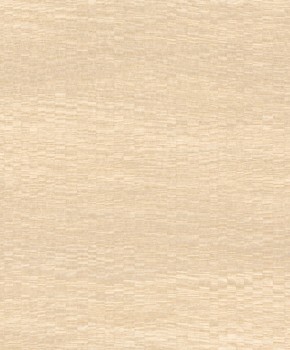 Rasch Textil Abaca 23-229546 schimmernd beige Vliestapete