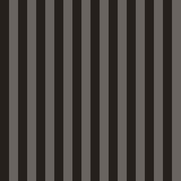 Dünne Streifentapete grau-schwarz vertikal Stripes 015046