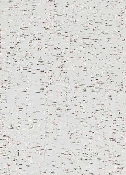 oak wood wallpaper white Vista 6 Rasch Textil 214801