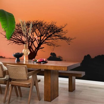 Wandbild Afrika Sonnenuntergang Savanne 4,24 x 3,00 m rot 363647