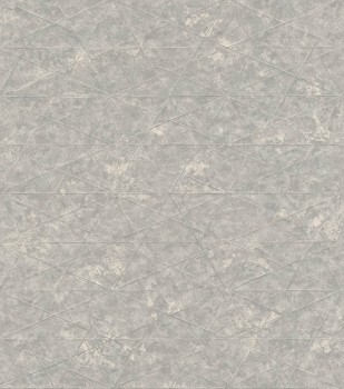 criss-cross lines gray non-woven wallpaper Composition Rasch 554328