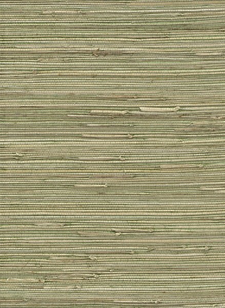 Grasfasern Grün Tapete Vista 6 Rasch Textil 215488