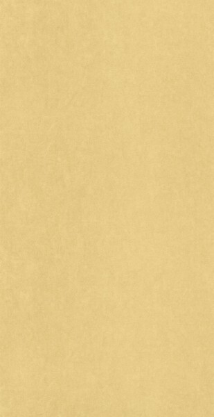 Farbig beige Vliestapete Mediterranee Casadeco MEDI82382375