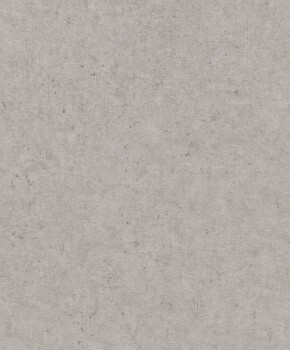 concrete look gray non-woven wallpaper Concrete Rasch 520866