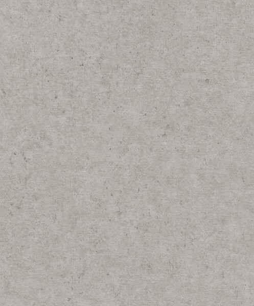 Betonoptik grau Vliestapete Concrete Rasch 520866