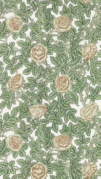 non-woven wallpaper thorny roses cream MEWW217208