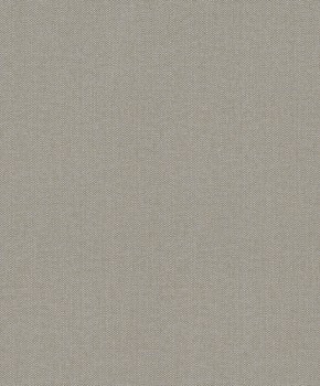 Rasch Textil Abaca 23-229195 strukturiert grau Vliestapete matt