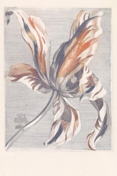 Eijffinger Masterpiece 55-358116, non-woven wallpaper, Mural flower