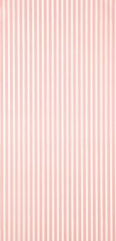 Linien und breite Streifen rosa Vliestapete Sanderson - One Sixty DCAVTP101
