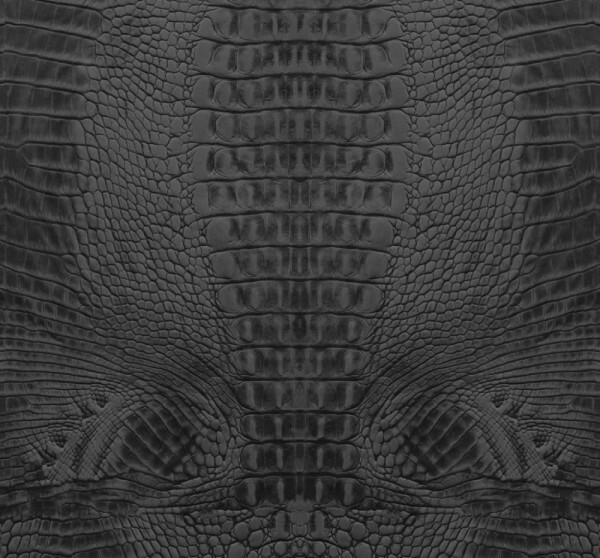 Mural reptile skin pattern gray 357247