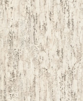 Birch bark look beige non-woven wallpaper Composition Rasch 554052