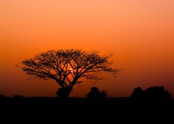 Wandbild Sonnenuntergang Savanne Afrika 3,71 x 2,65 m orange rot 363654
