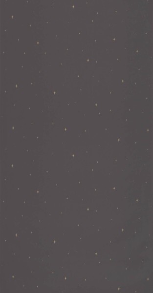 Black wallpaper starry sky Caselio - La Foret Texdecor FRT102969983