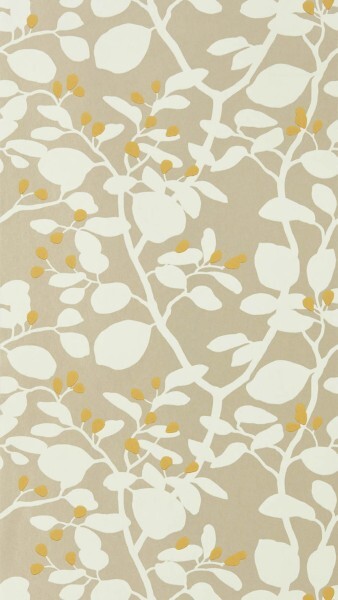 verflochtene Zweige und kleine Beeren beige Tapete Sanderson Harlequin - Colour 1 HTEW112773