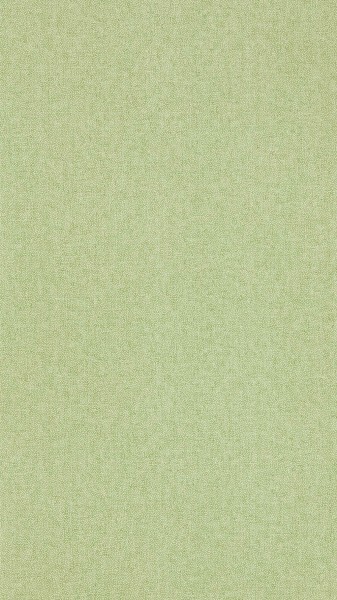 frische Farbe grün Vliestapete Sanderson Arboretum 217248