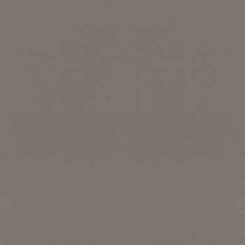 einfarbig Vinyltapete grau taupe Tropical House Rasch 688030