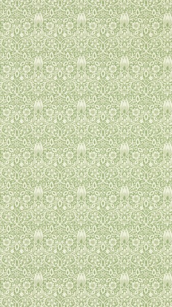 Wallpaper stylized tendrils green MEWW217198