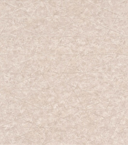 raised net pattern light brown non-woven wallpaper Composition Rasch 554335