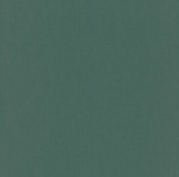 Einfarbiger Hintergrund grün Vliestapete Sophia Rasch 710458