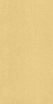 Farbig beige Vliestapete Mediterranee Casadeco MEDI82382375