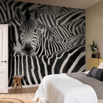 Wandbild Zebra Afrika Tiere 3,71 x 3,00 m schwarz weiß 363609