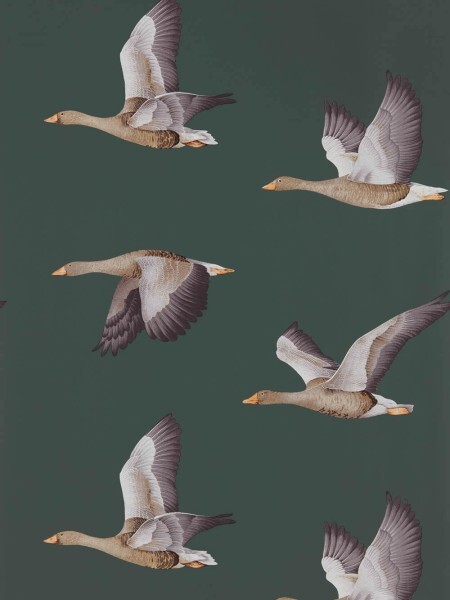 flying geese green fleece Sanderson Arboretum 216608
