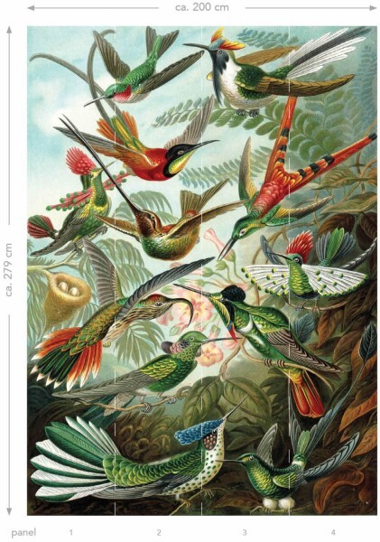 Wandbild Kolibri Vögel IIXL Paradise 158954