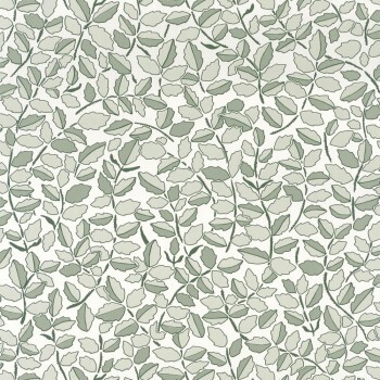 Branches and Leaves Green Wallpaper Caselio - Dream Garden DGN102297026