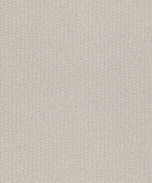 Rasch Textil Abaca 23-229324 hellgrau schimmernd Vliestapete