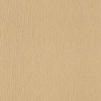 monochrome vinyl wallpaper light brown Trianon 13 Rasch 570076